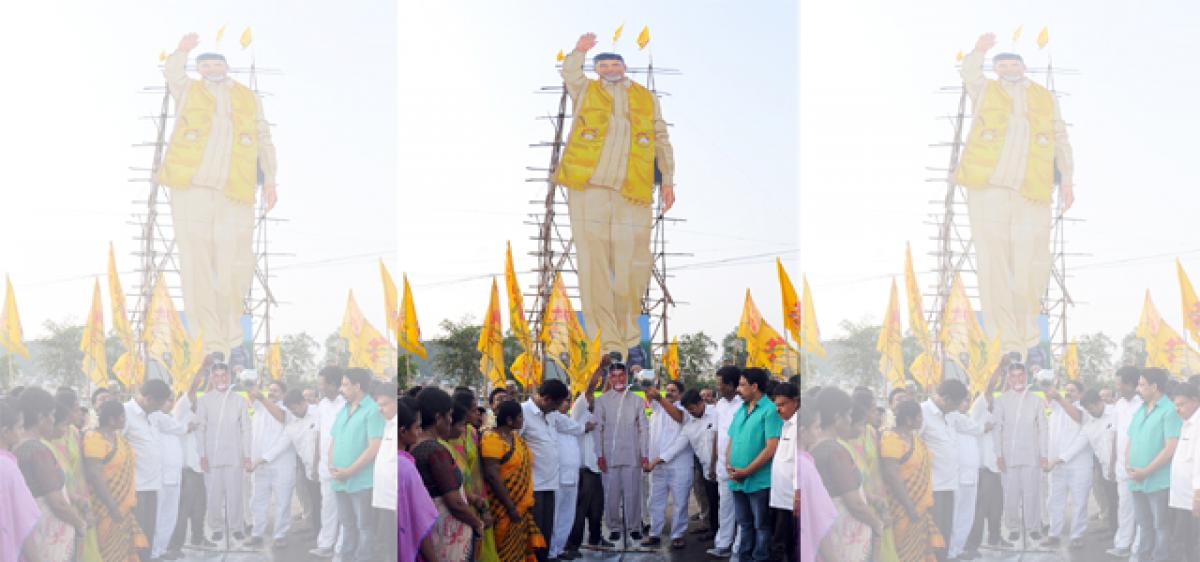 MLC erects 80-ft  hoarding of Chandrababu Naidu