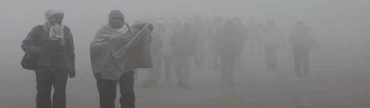 Cold weather conditions in Haryana, Punjab