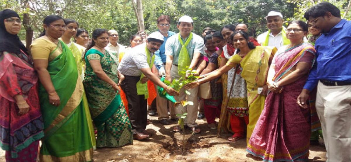 Labour Commissioner plants saplings at Chikkadpally