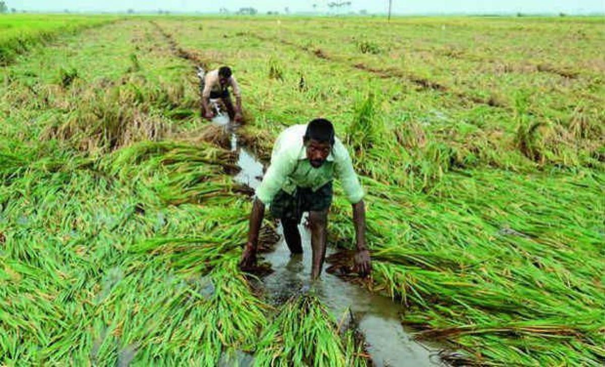 Leaders visit rain affected Palakurthy segment