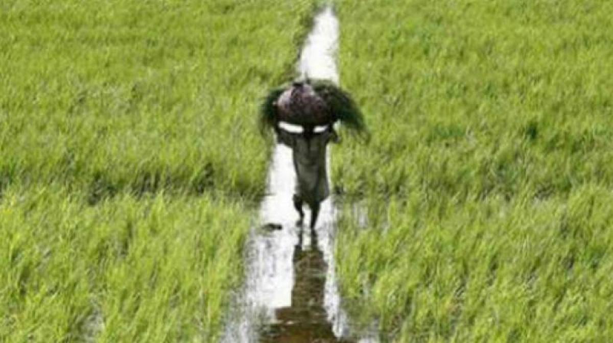 Third installment of crop loan waiver released