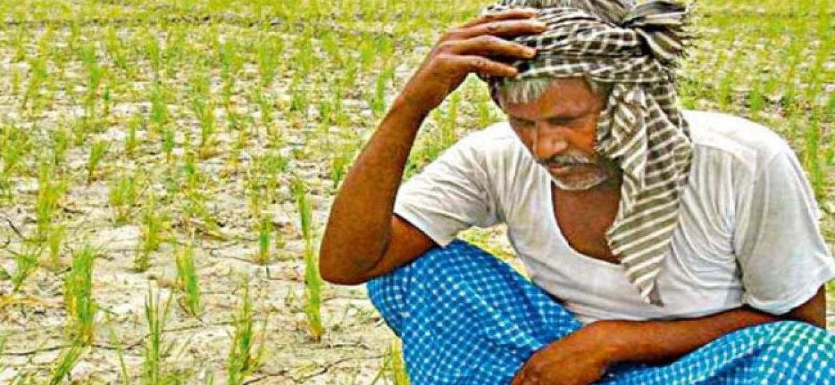 Anantapur farmers struggling to save crops
