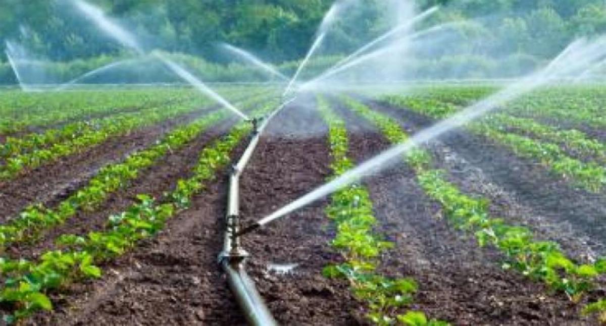 1,380 cr to be spent on micro-irrigation projects: Minister Somireddy Chandramohan Reddy
