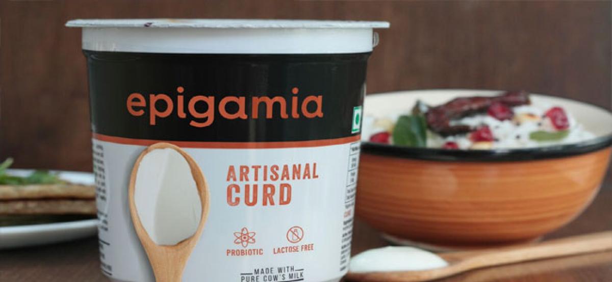 Epigamia launches India’s first lactose-free Artisanal Curd