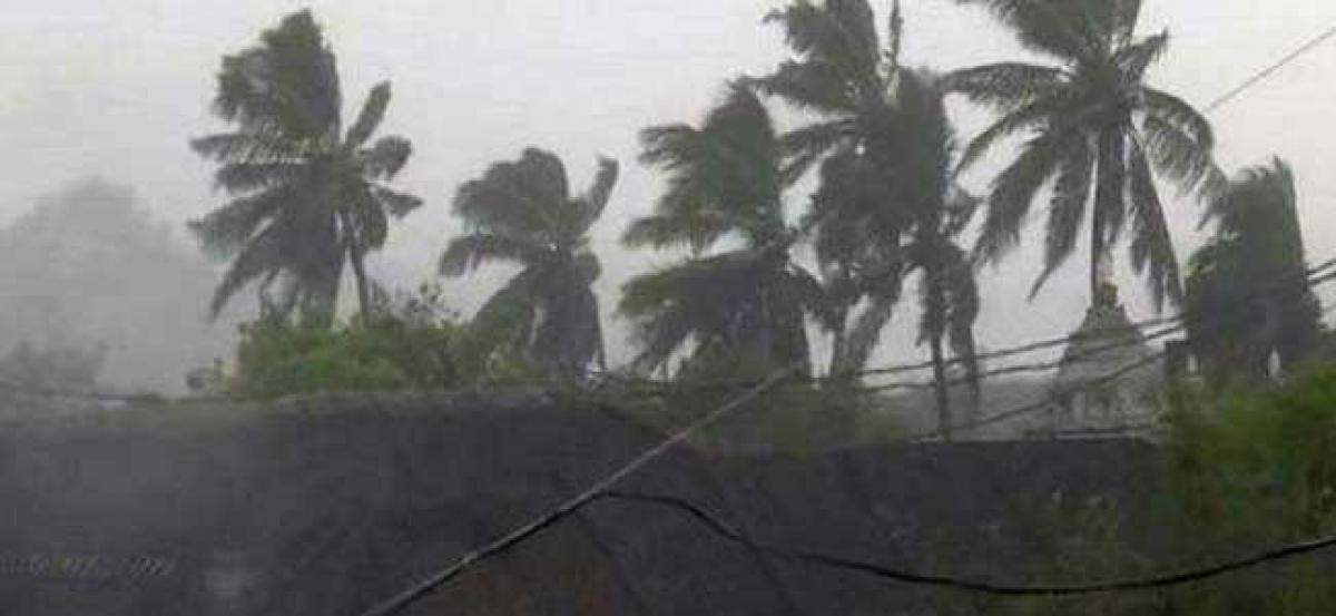 Death toll in cyclone-hit Odisha rises to 52, relief work underway