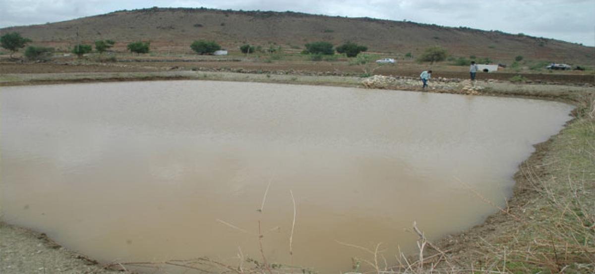 Check dams, farm ponds come to rescue of farmers