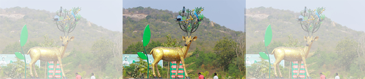 Mayuri Park decked up for New Year celebrations