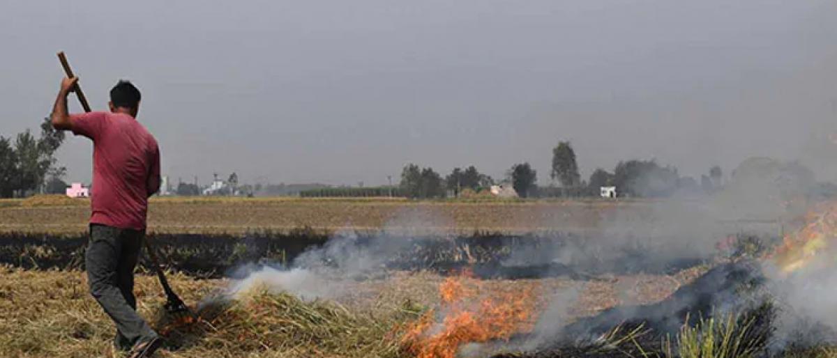 Delhi holds breath as burning farms herald pollution season