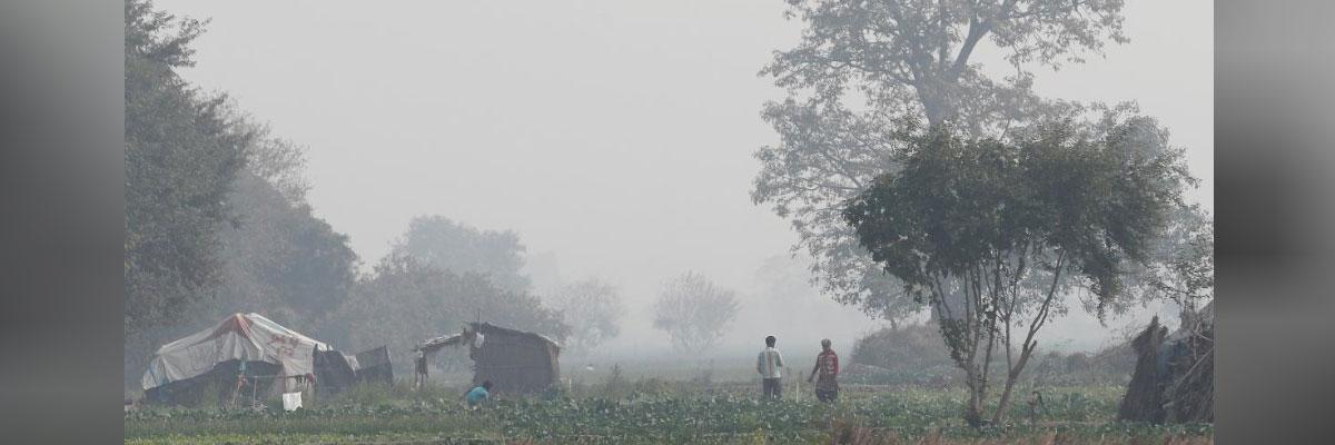 New Delhi chokes as pollution levels hit the worst this year