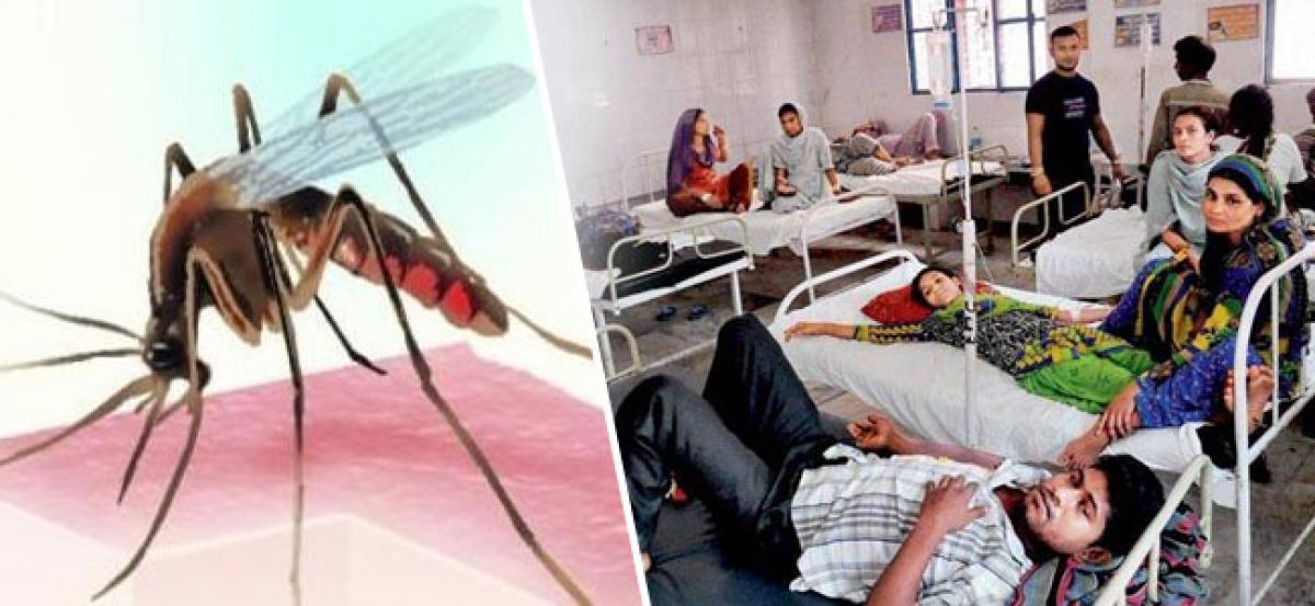 3,829 cases of dengue, 502 of chikungunya in Delhi so far