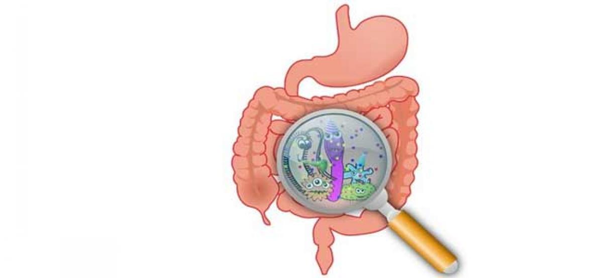 First gut bacteria may fight chronic diseases better