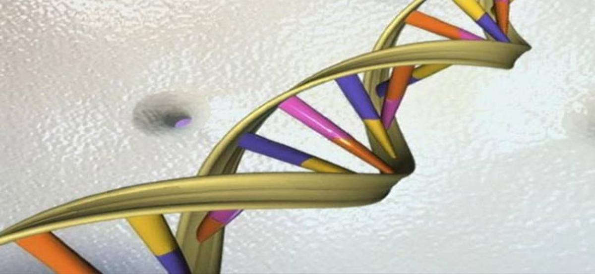 Synthetic DNA may help trace stolen goods