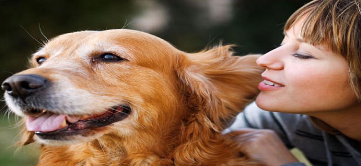 Humans can identify emotions in voices of land animals: Study