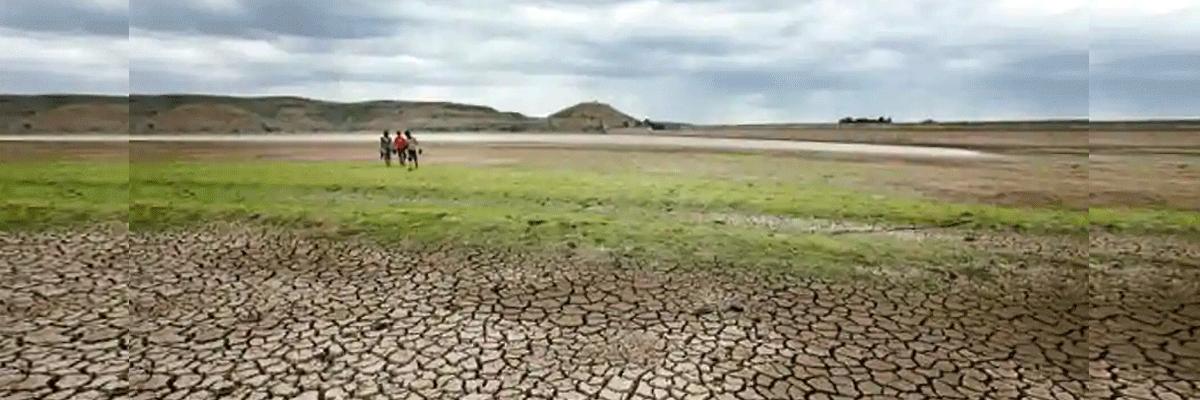 State Government forms four cabinet sub-committees to oversee drought-mitigation measures