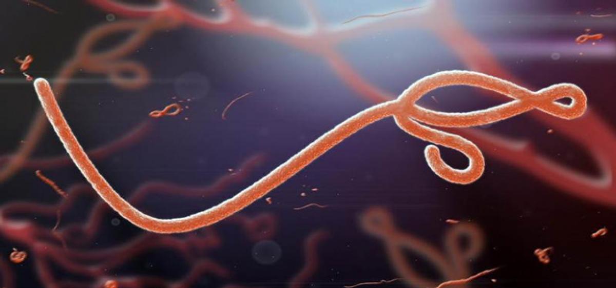 Ebola can persist in survivors semen 2 years after infection