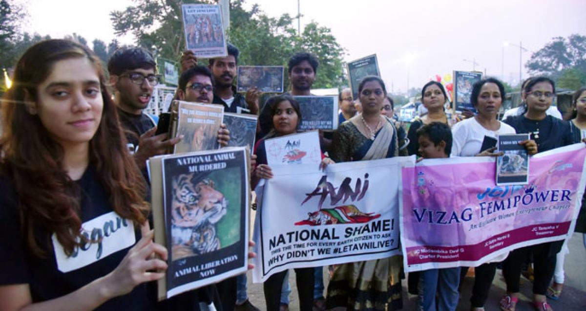 Animal rights activists protest killing of tigress Avni