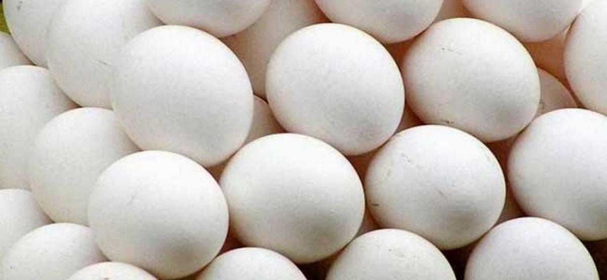 Indias egg production to touch 100 billion annually