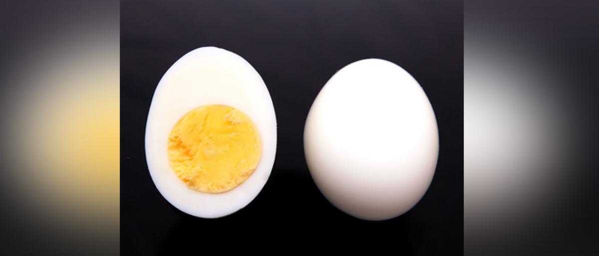 6 Reasons why eggs are the Healthiest food on the planet