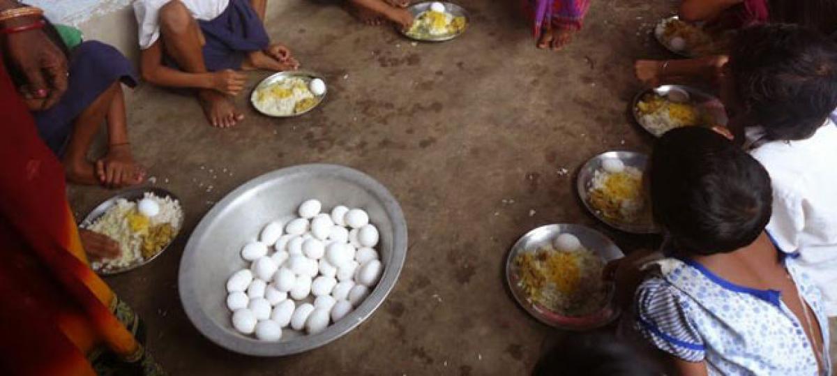 Supply of eggs to schools unlikely from November 1