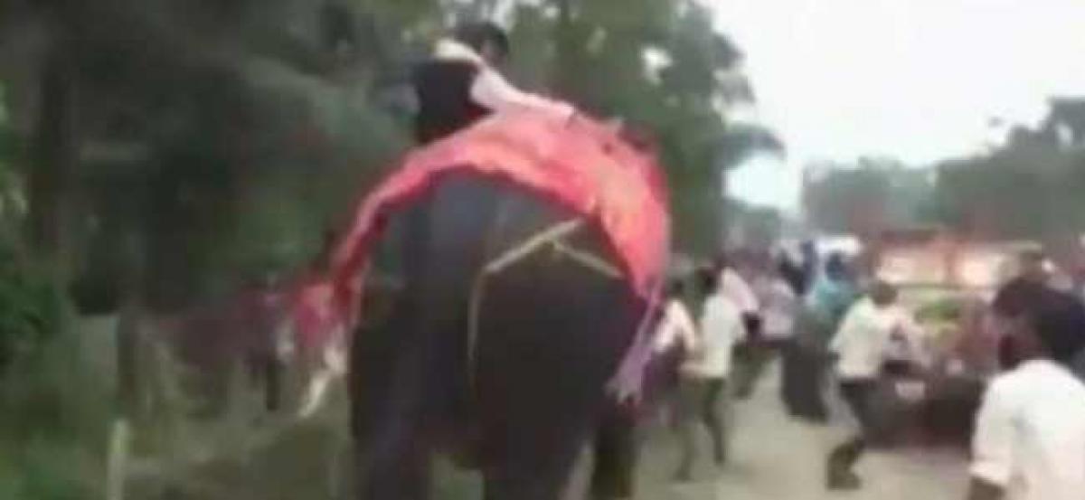 Watch: Assam deputy speaker Mallah falls off an elephant, laughs it off