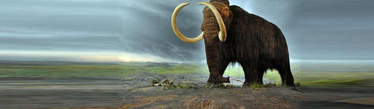 Surprising elephant-sized mammal cousin lived alongside dinosaurs