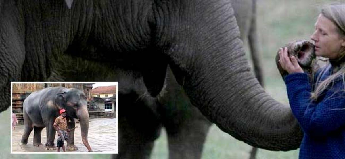 Karnataka elephants brought to Lucknow zoo, learn Hindi commands