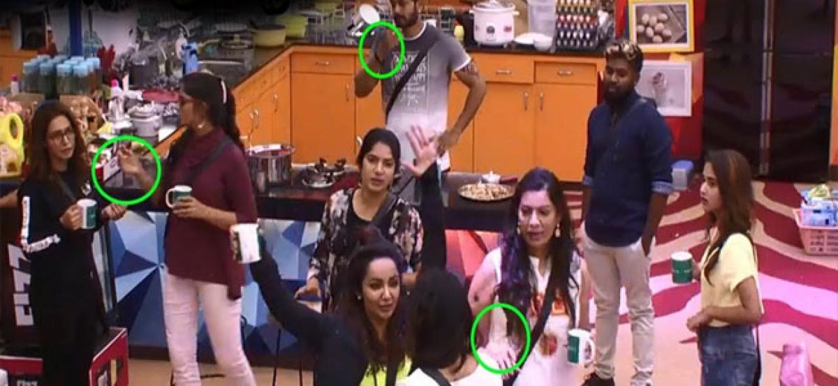 Bigg Boss Telugu Season 2:  Episode 16 Highlights