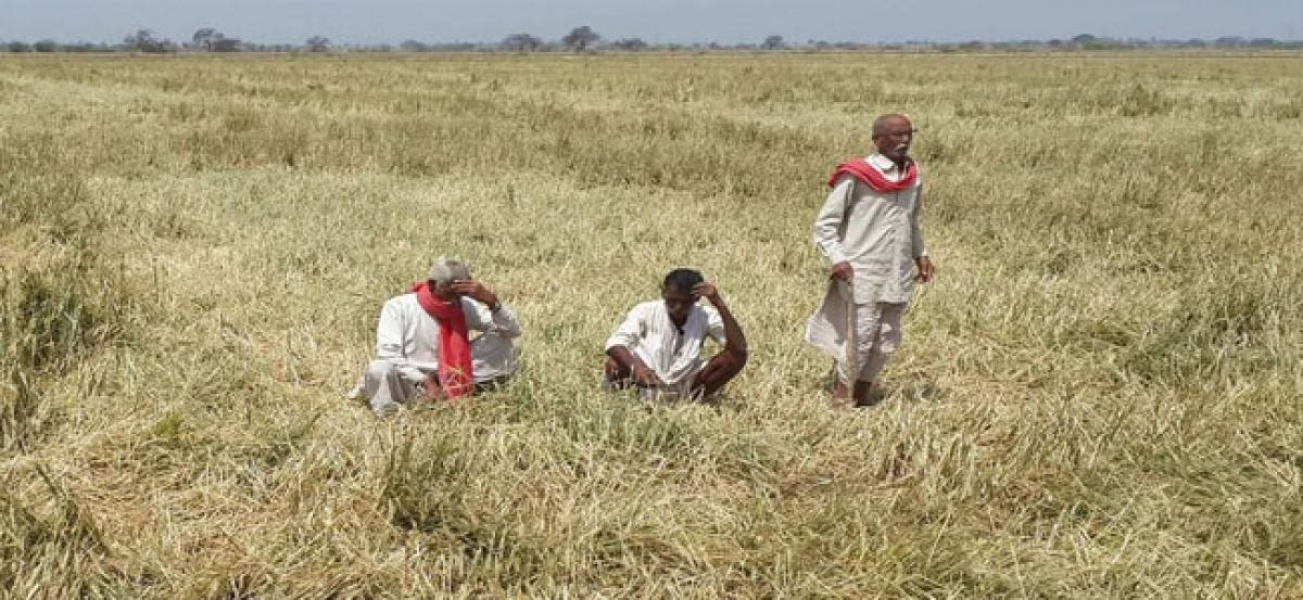 Dry spell ruining farmers