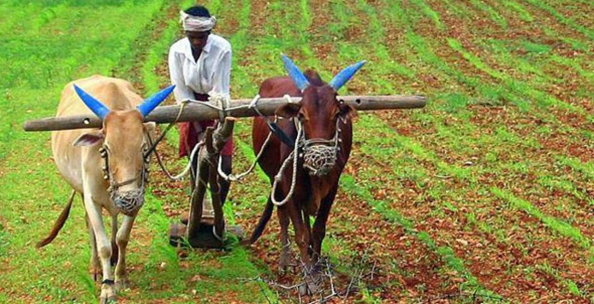Rayalaseema Abhivrudhi Vedika expresses solidarity with farmers
