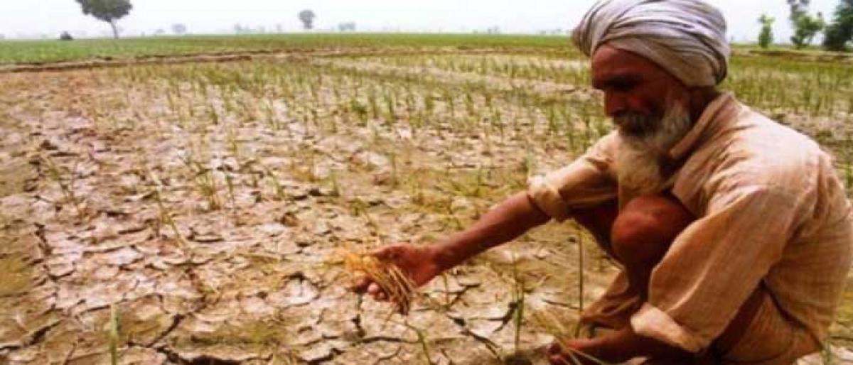 Farmers in low spirits as monsoon plays truant