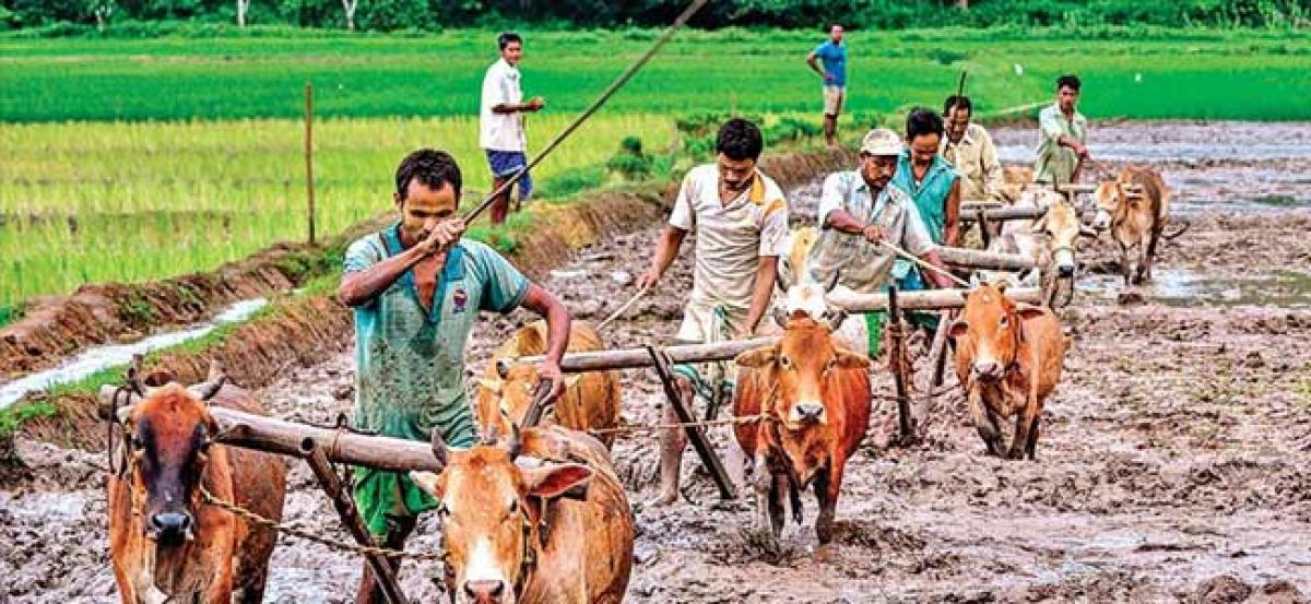 Indian farmers get help from UK as London firm launches weather insurance pact