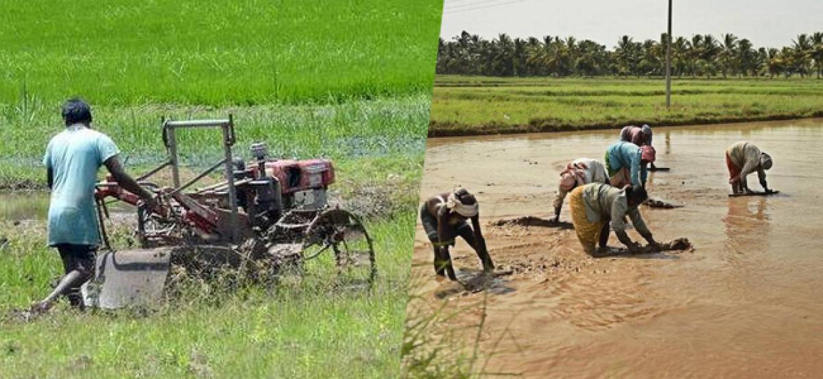 A light of hope to the farmers of Cauvery basin