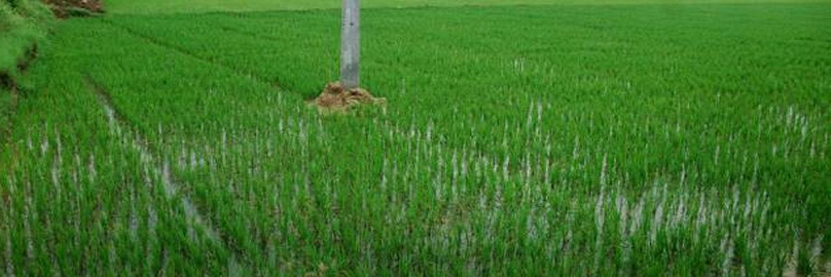 Farmers angry over delay in clearing lands from dotted category