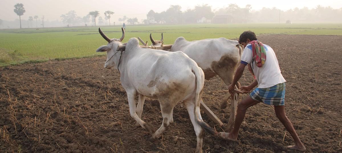 TN farmer tries to commit suicide in Delhi: Farmers