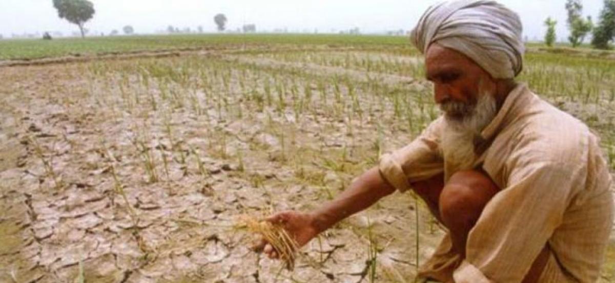 Farm loan waivers to touch USD 40 Billion by 2019 Elections: Report