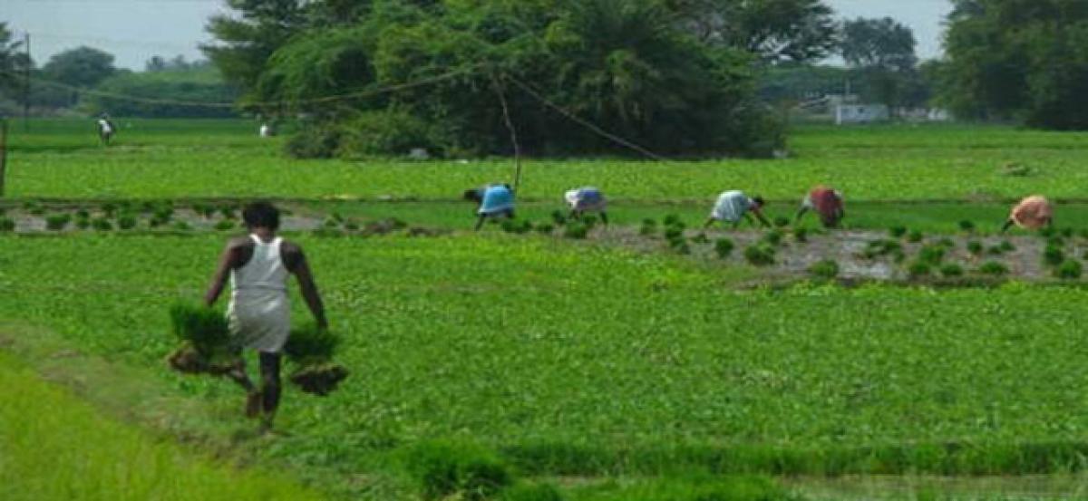 Kharif season to be preponed in dist by 3 weeks