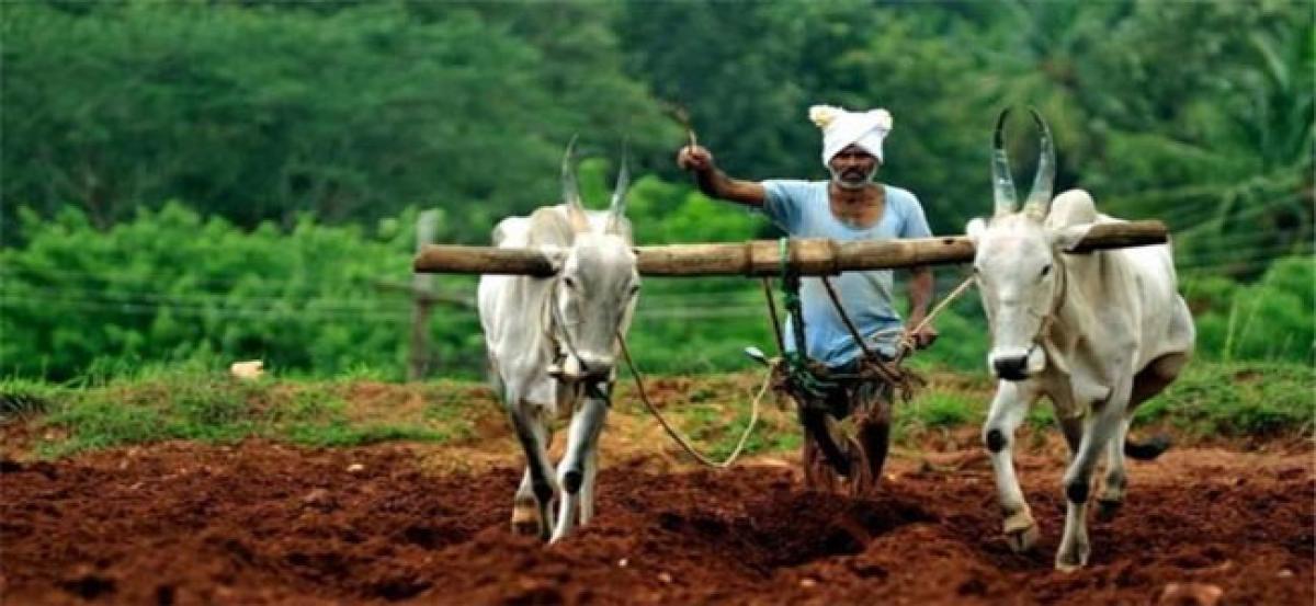 Free insurance scheme: 25% farmers yet to furnish details