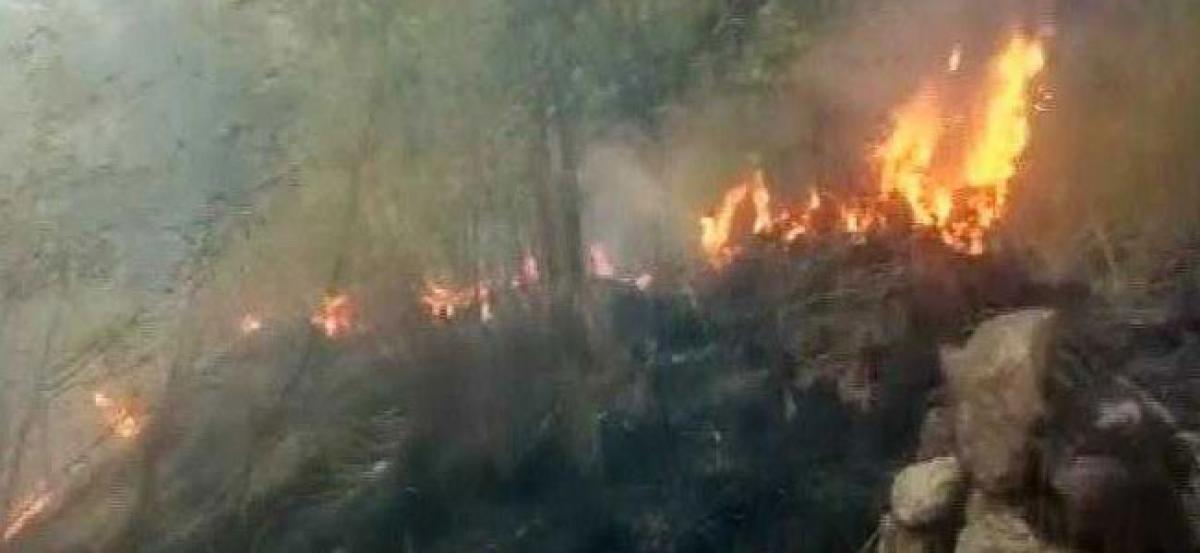 Nine dead in Kurangani forest fire