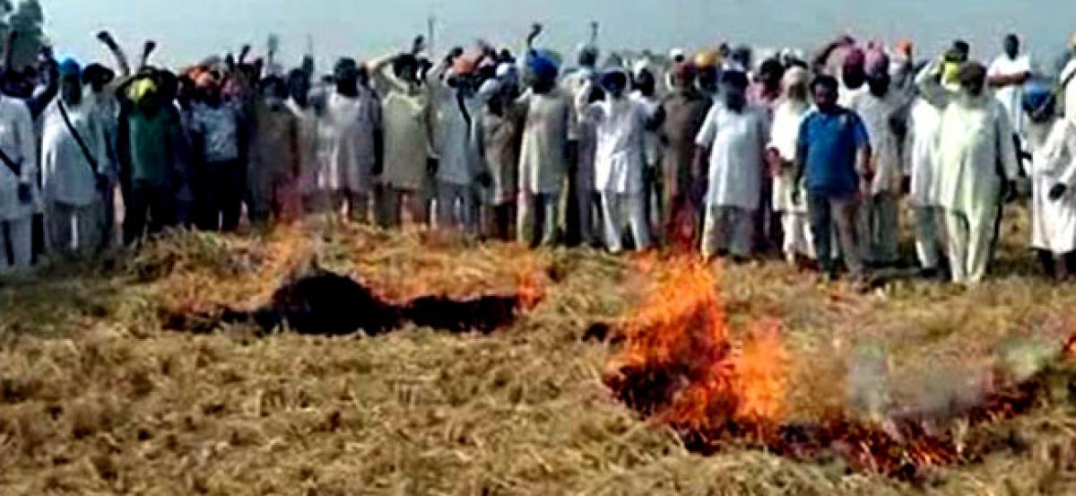 Punjab farmers burn stubble to protest prohibition orders