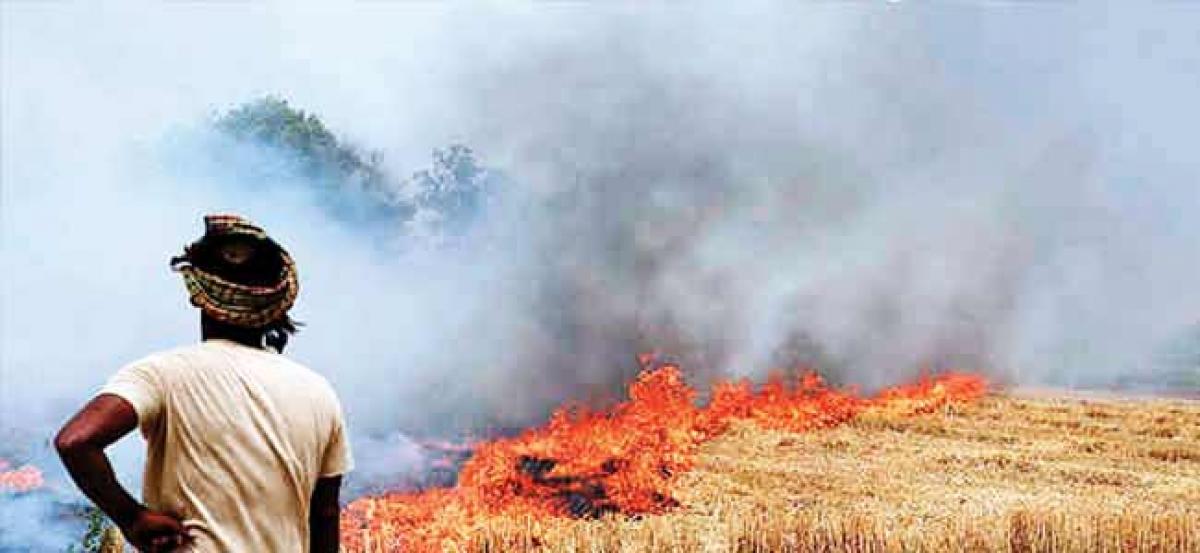 Haryana Farmers defy ban, burn stubble in Karnal: We know it causes pollution but no alternative