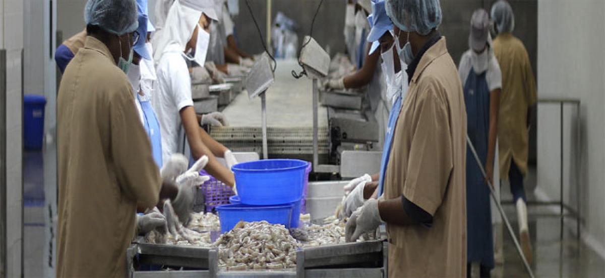 AP lags behind in prawn, fish processing units