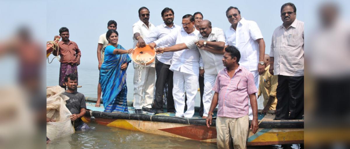 Fishes released into Godavari