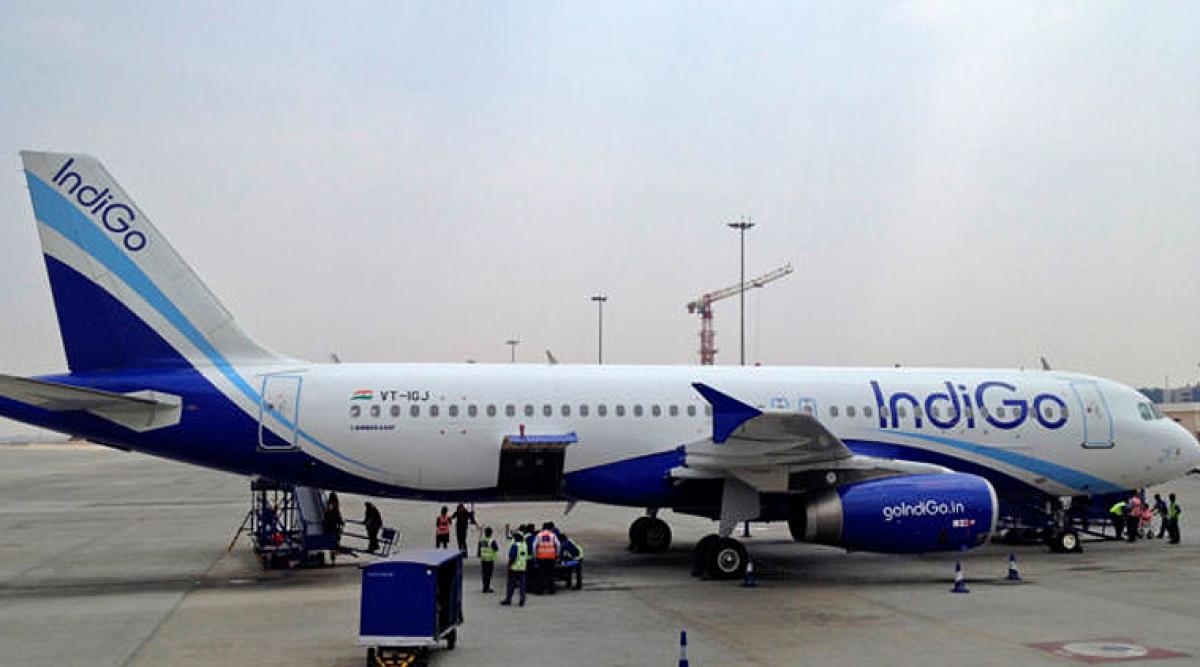 Panaji: Flight to Mumbai delayed after encountering dog hit during take off