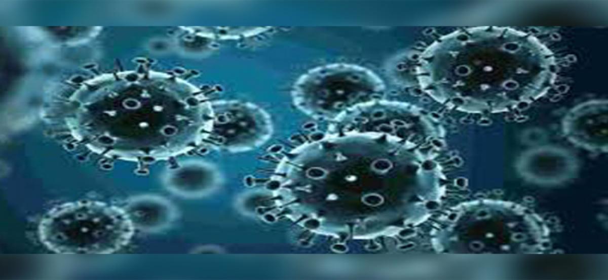 Flu virus can now be slowed down