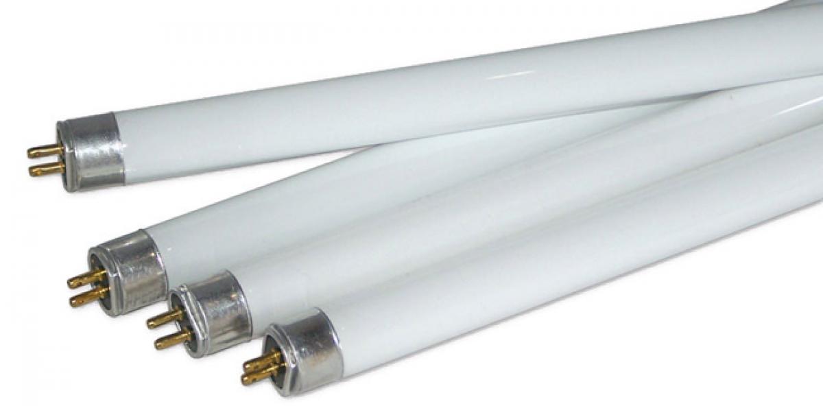 Consumers revert to fluorescent bulbs