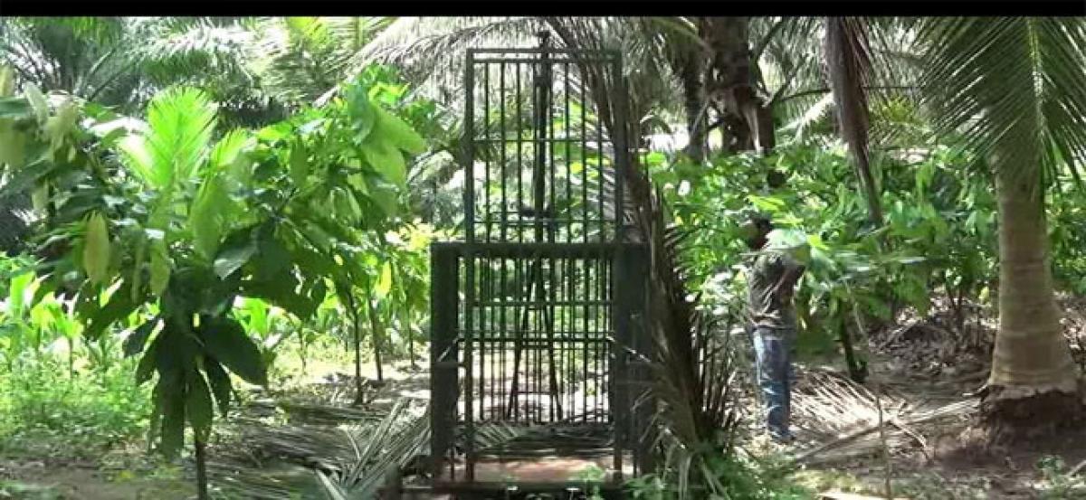 Forest staff confirms existence of leopard