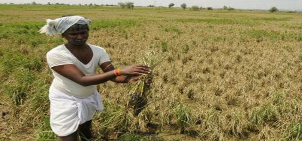 Farmers told to go in for natural farming