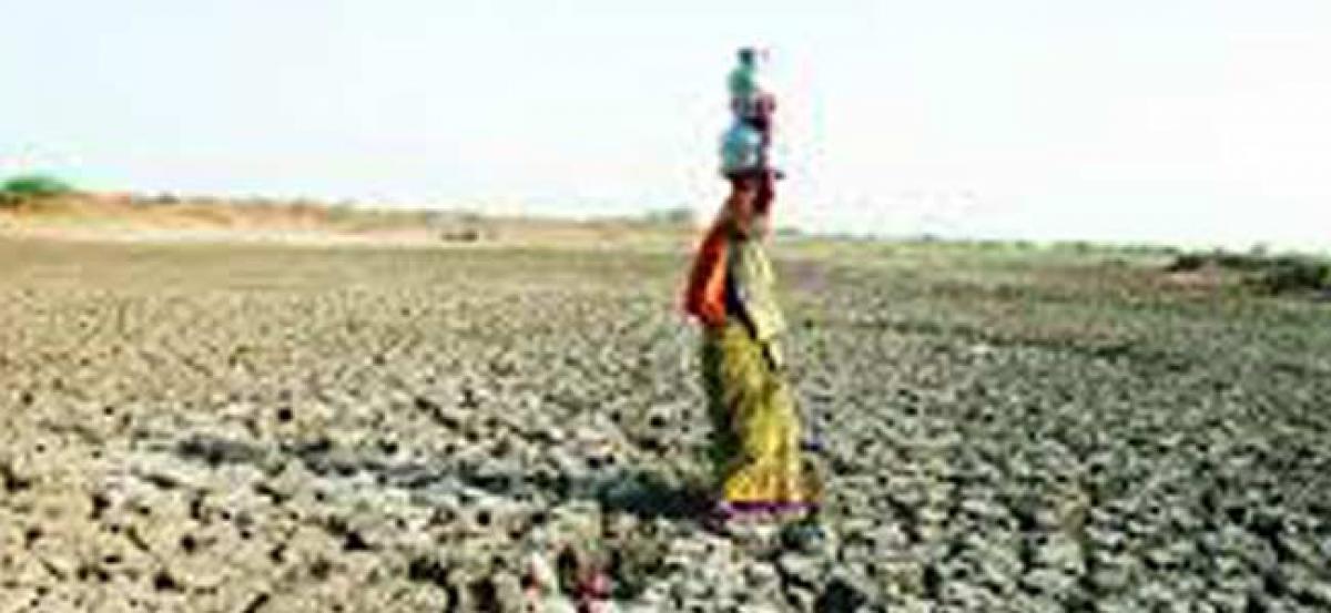 Maharashtra: Villages gear up for Water Cup to tackle drought