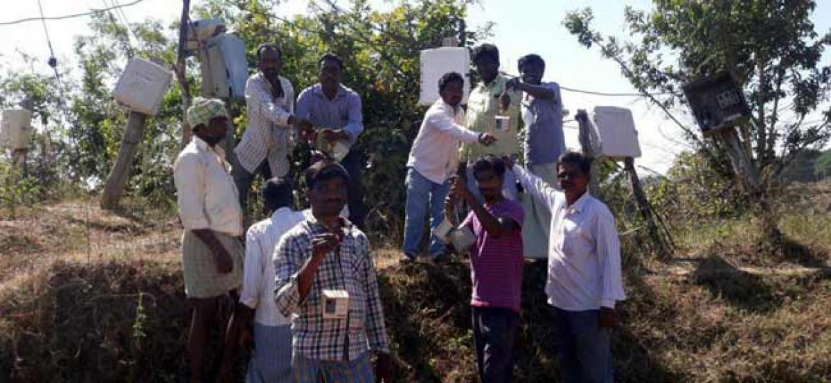 24x7 power supply from Jan, farmers remove starters