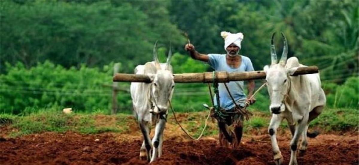 AP farmers to take part in nationwide protest